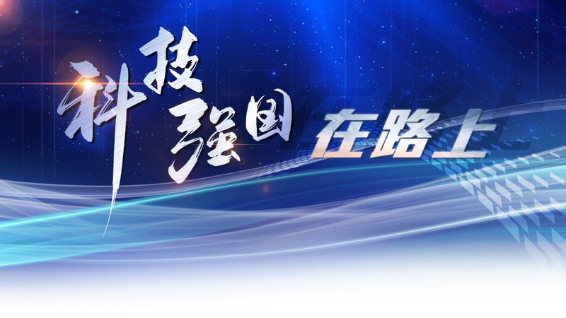 智慧城市系统集成项目经理：职责与挑战